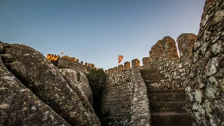 Luís Duarte PSML 9679