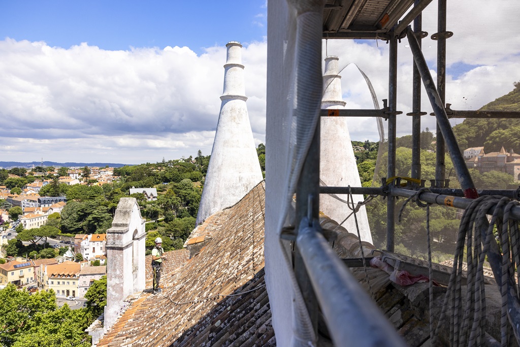 E7A4252©PSML Jose Marques Silva