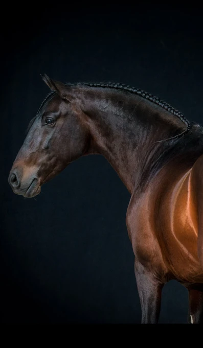 APP1116 Biotipo SF 0160