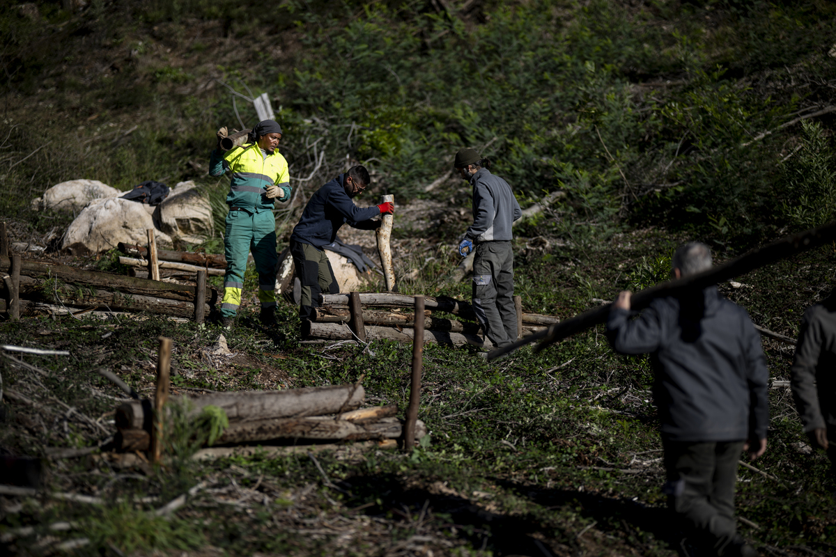 070 Monte Da Lua WZ9 6126 20251120November 20, 2025 Bx Emigus