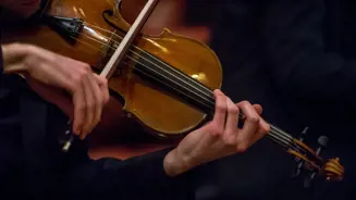 Violino Creditos PSML Luis Duarte