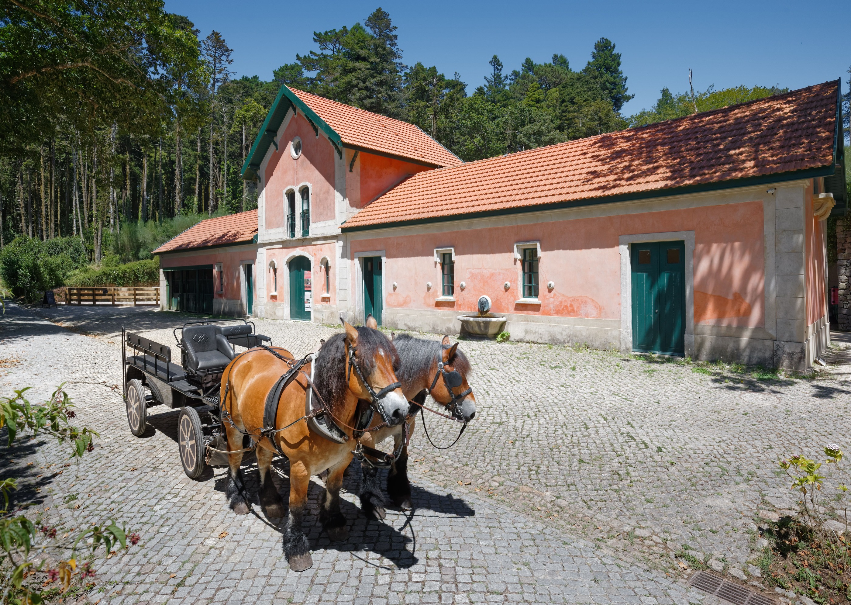 PNP Auditório Abegoaria Bx Rd