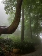 Luís Duarte PSML 2523