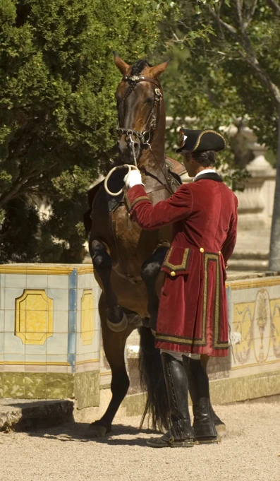 87 Casaca E Polainas