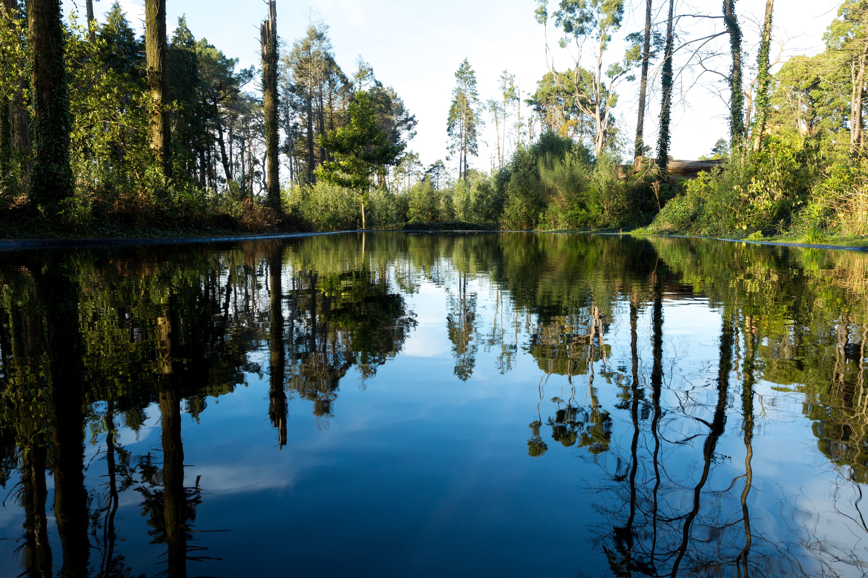 Parque Da Pena Credits PSML WP 17 67 (1) (1)