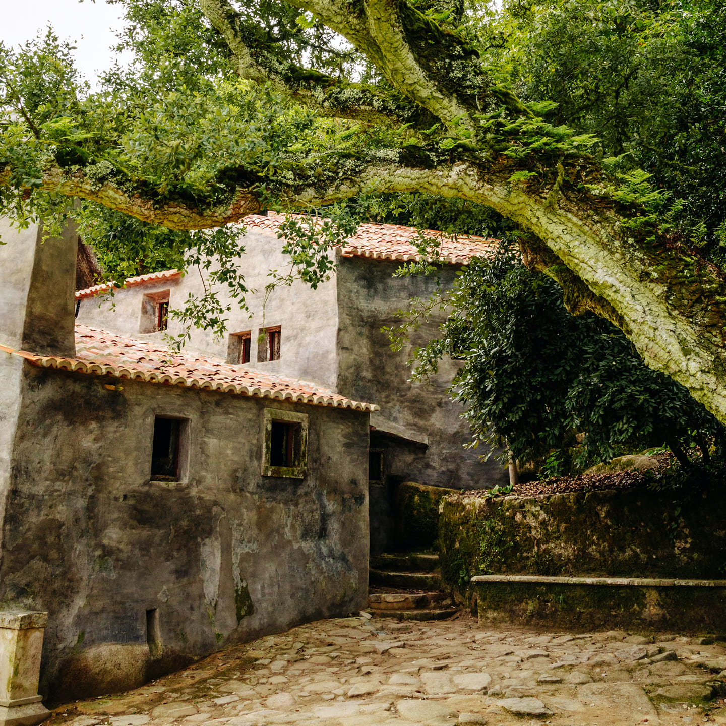 Parques De Sintra Convento Dos Capuchos Hero 01