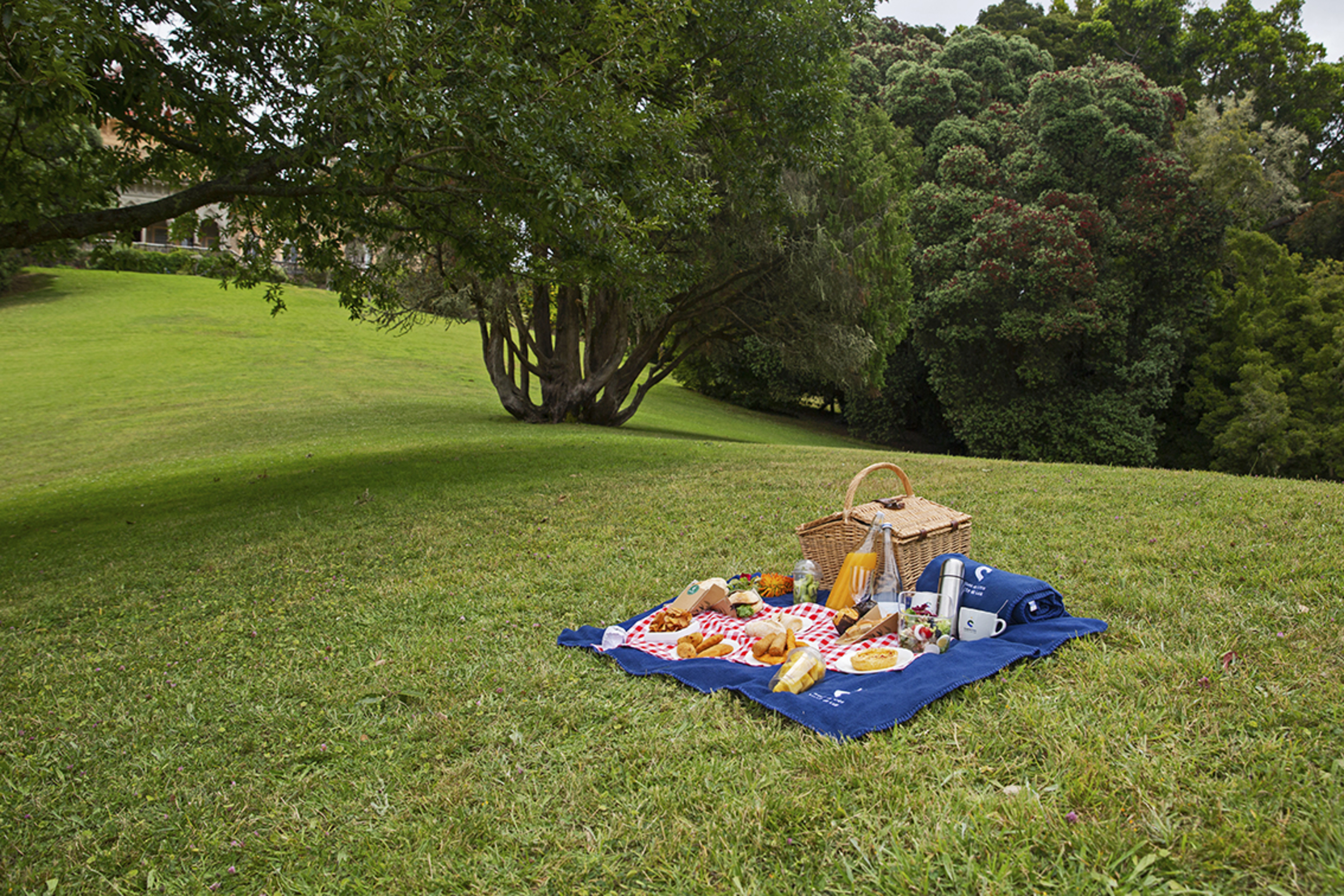 Dias Do Piquenique 01 (C)PSML Final