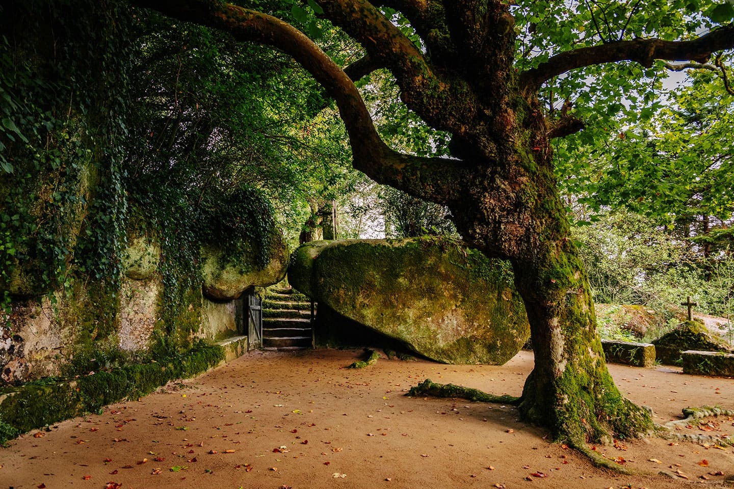 “Sintra e as ordens religiosas” por João Rodil na Cafetaria da Casa Mantero “Sintra e as ordens religiosas” por João Rodil na Cafetaria da Casa Mantero