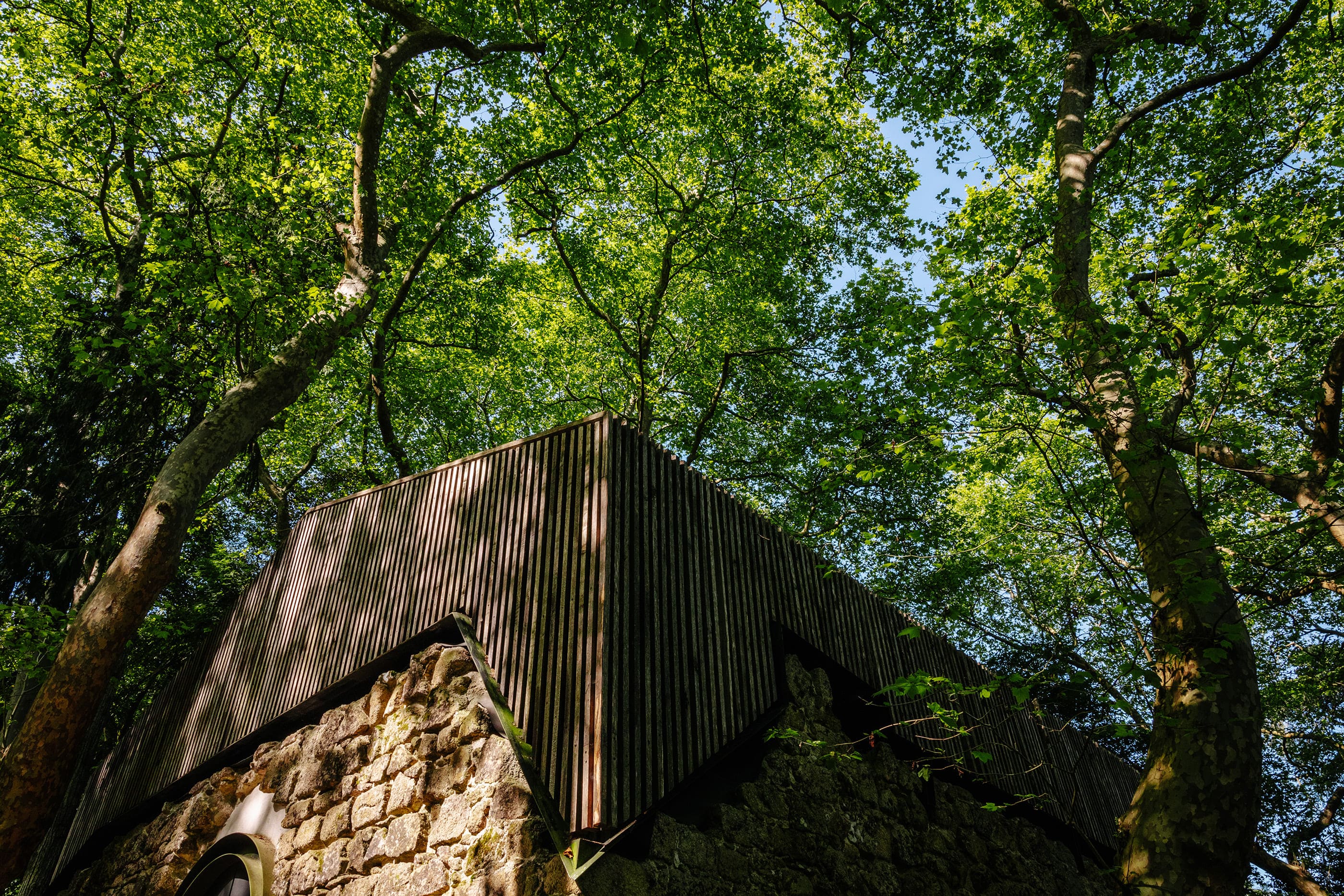 Parques De Sintra Castelo Dos Mouros Igreja S Pedro Canaferrim