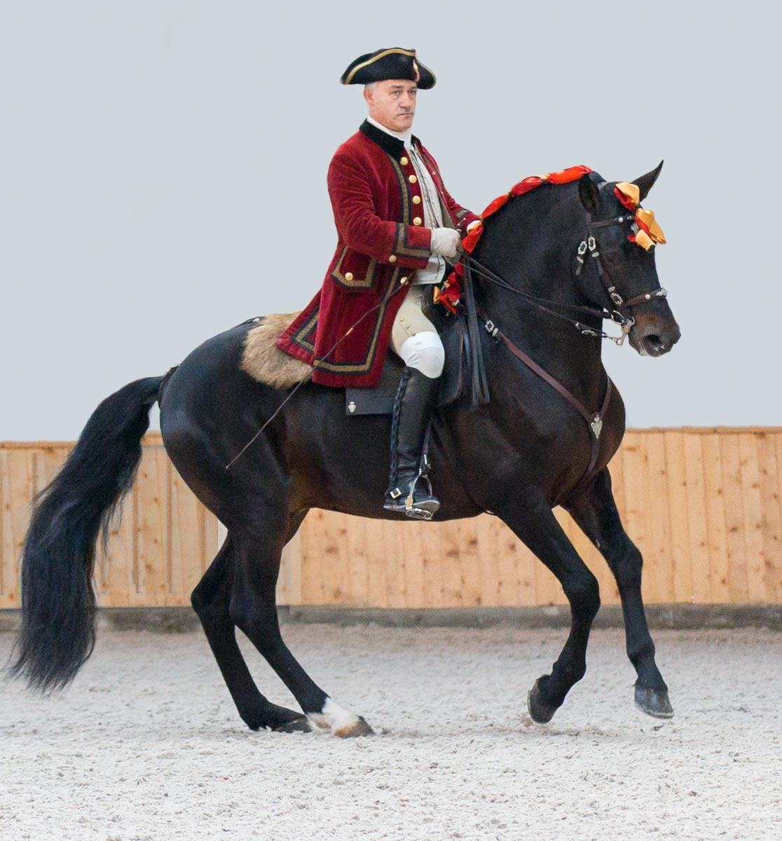 APP1116 Pirouette SF 7650