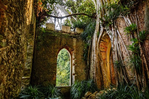 Parques De Sintra Parque E Palacio De Monserrate Ruina