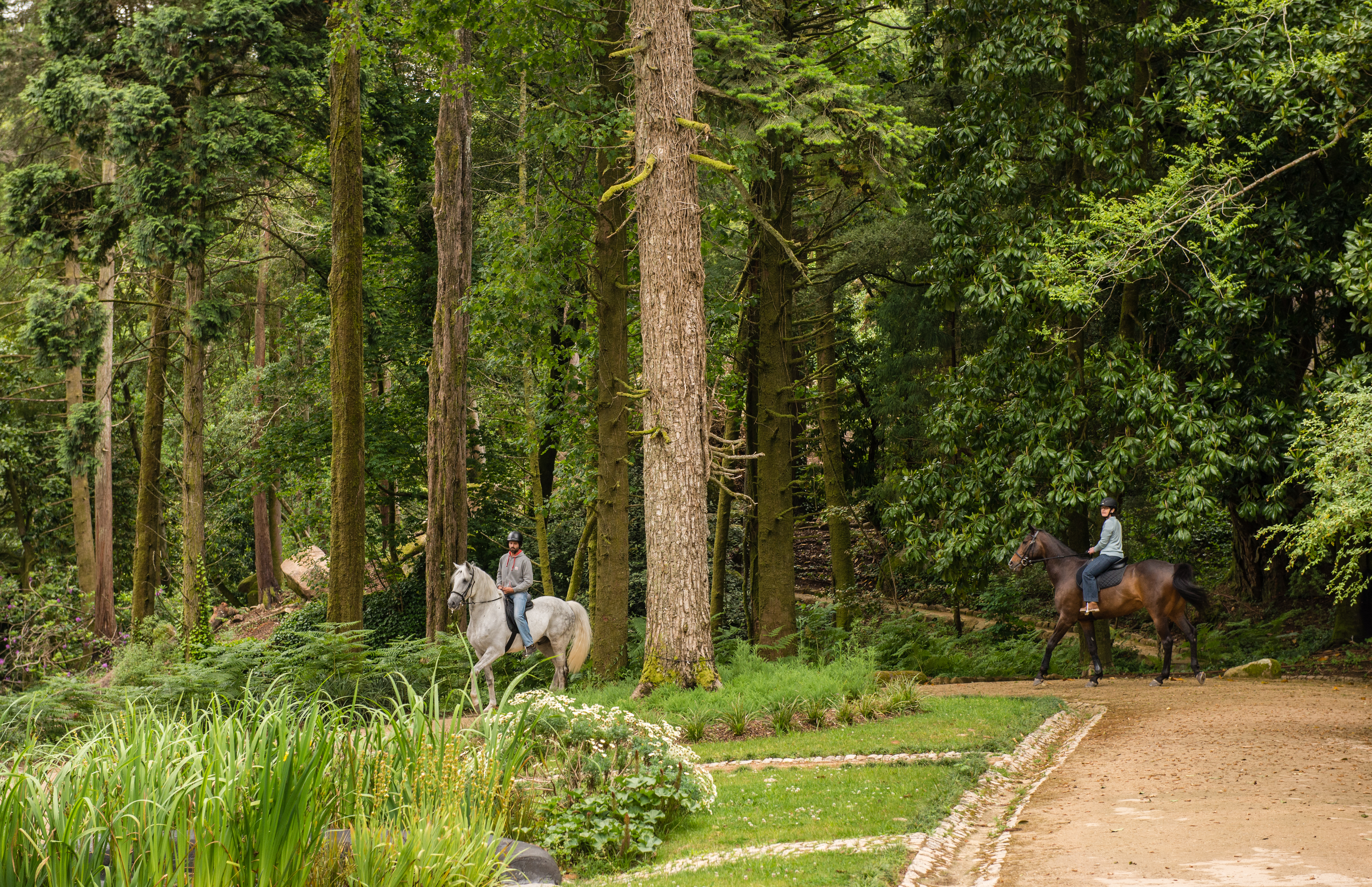 Quintadapena Passeiosacav 10