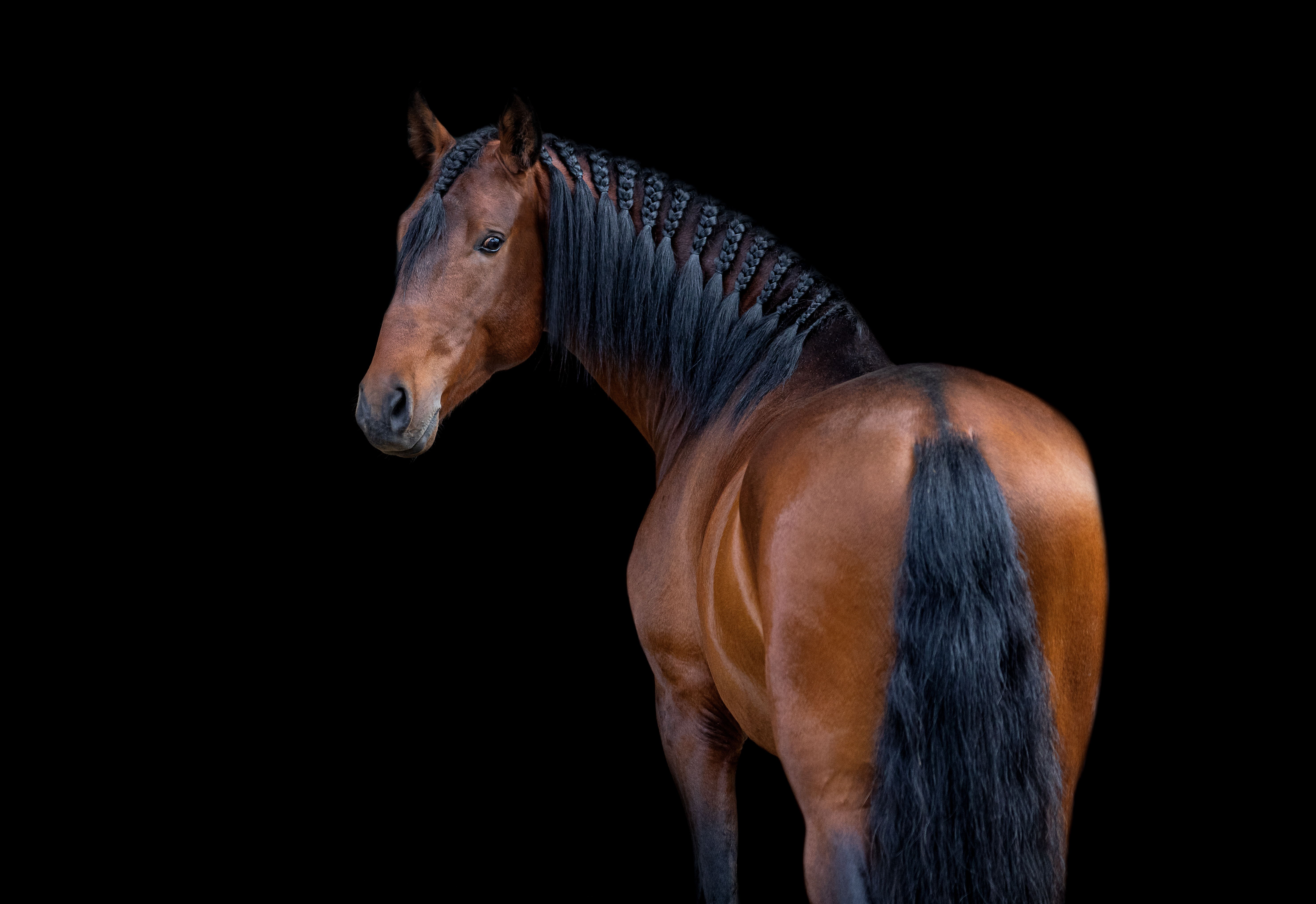 Nublado Créditos Abrfotografia (6)