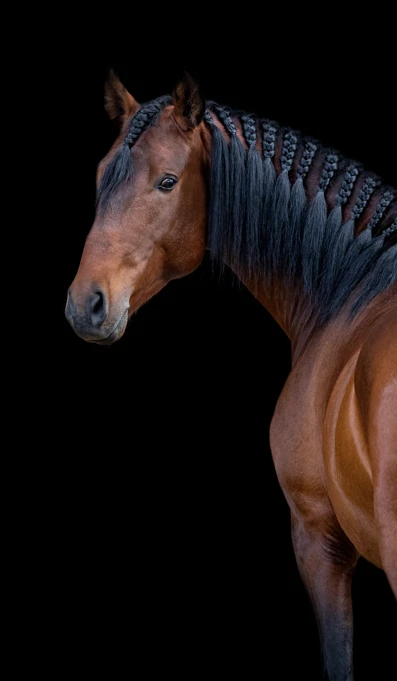 Nublado Créditos Abrfotografia (6)