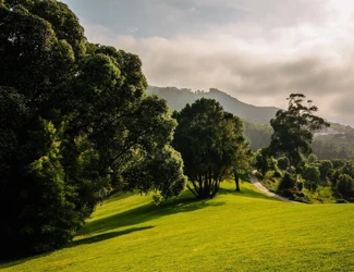 Parques De Sintra Parque E Palacio De Monserrate Relvado