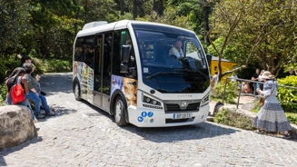 E7A7081©PSML Jose Marques Silva Bx