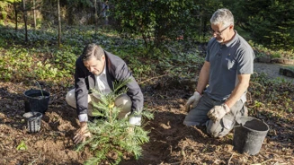 Projeto de Transplação de árvores Parque da Pena