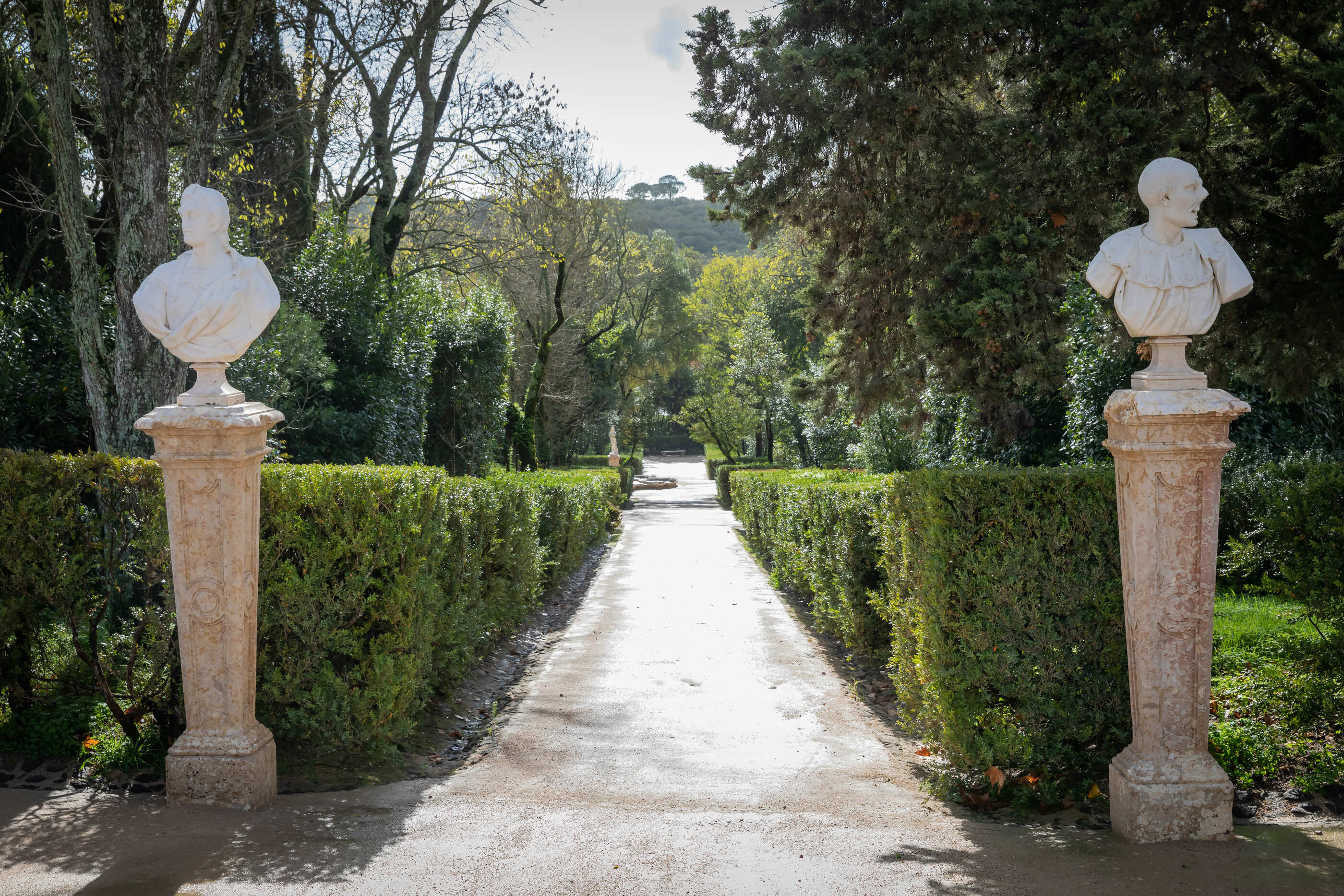 Luis Duarte PSML 6268 (1) (1)