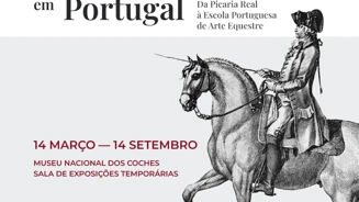 Digitais Feed FB+IG PT
