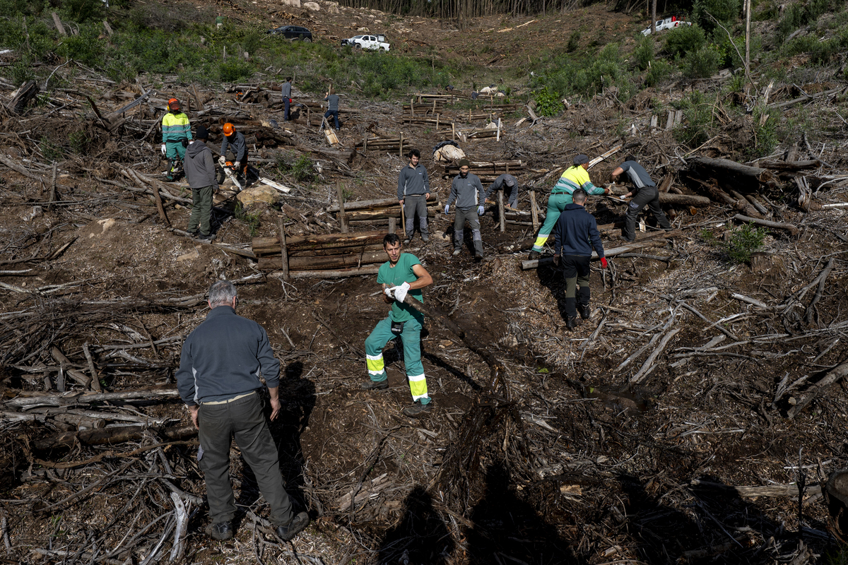 091 Monte Da Lua DSC 6038 20251120November 20, 2025 Bx Emigus