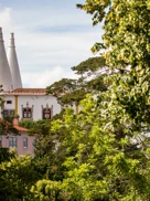 Luís Duarte Psml 1066 1