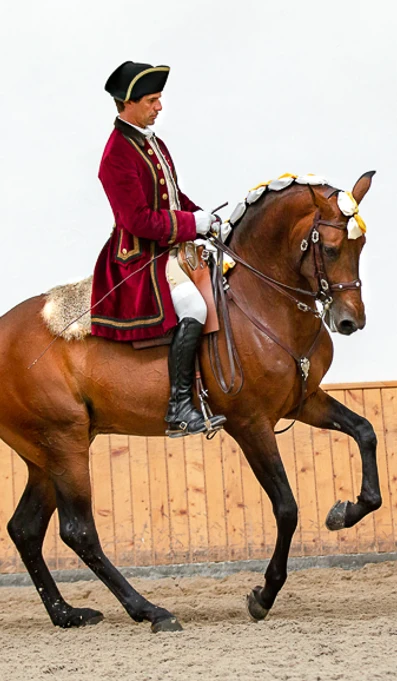 App578pirueta Hihufi RF 0560 Nuno Vicente Creditos De Rita Fernandes