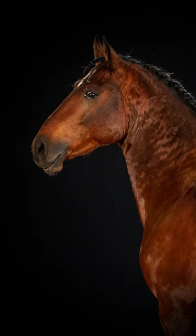 APP578 Lajeado RF 0575