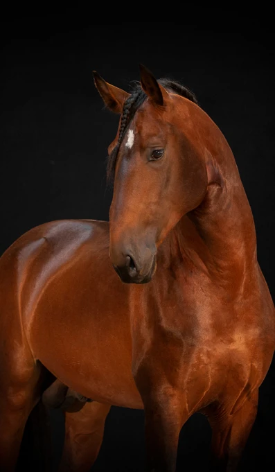 APP1116 Jaqal RF 6800