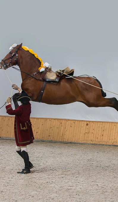 APP578 Exercises Capriole MG 5779