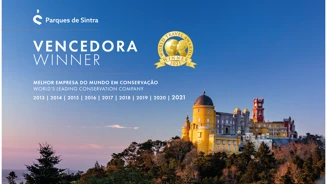 WTA Winner NOTICIA INTERIOR