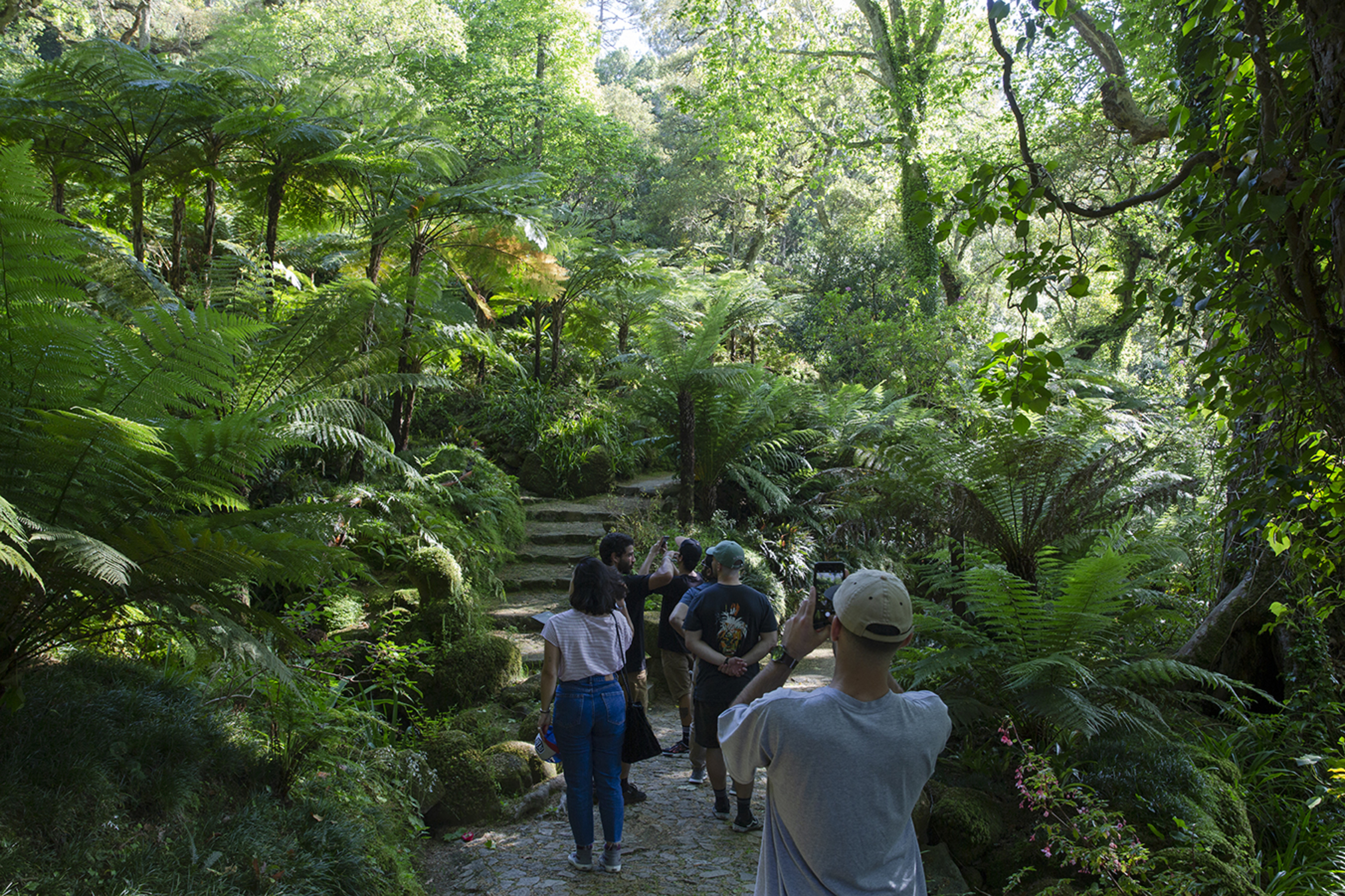 Proftur H6A9252 Final