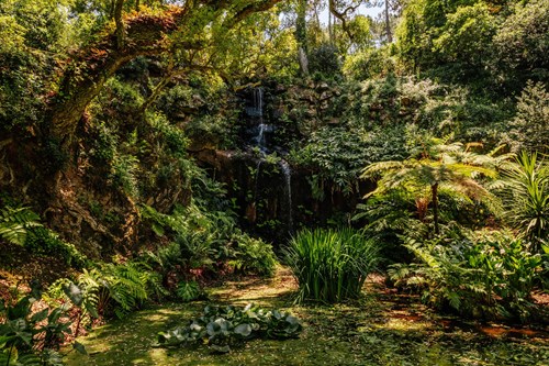 Parques De Sintra Parque E Palacio De Monserrate Cascata Beckford