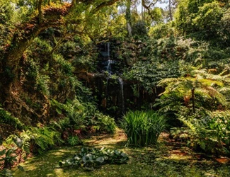Parques De Sintra Parque E Palacio De Monserrate Cascata Beckford