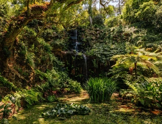 Parques De Sintra Parque E Palacio De Monserrate Cascata Beckford