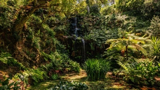 Parques De Sintra Parque E Palacio De Monserrate Cascata Beckford