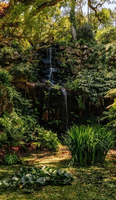 Parques De Sintra Parque E Palacio De Monserrate Cascata Beckford