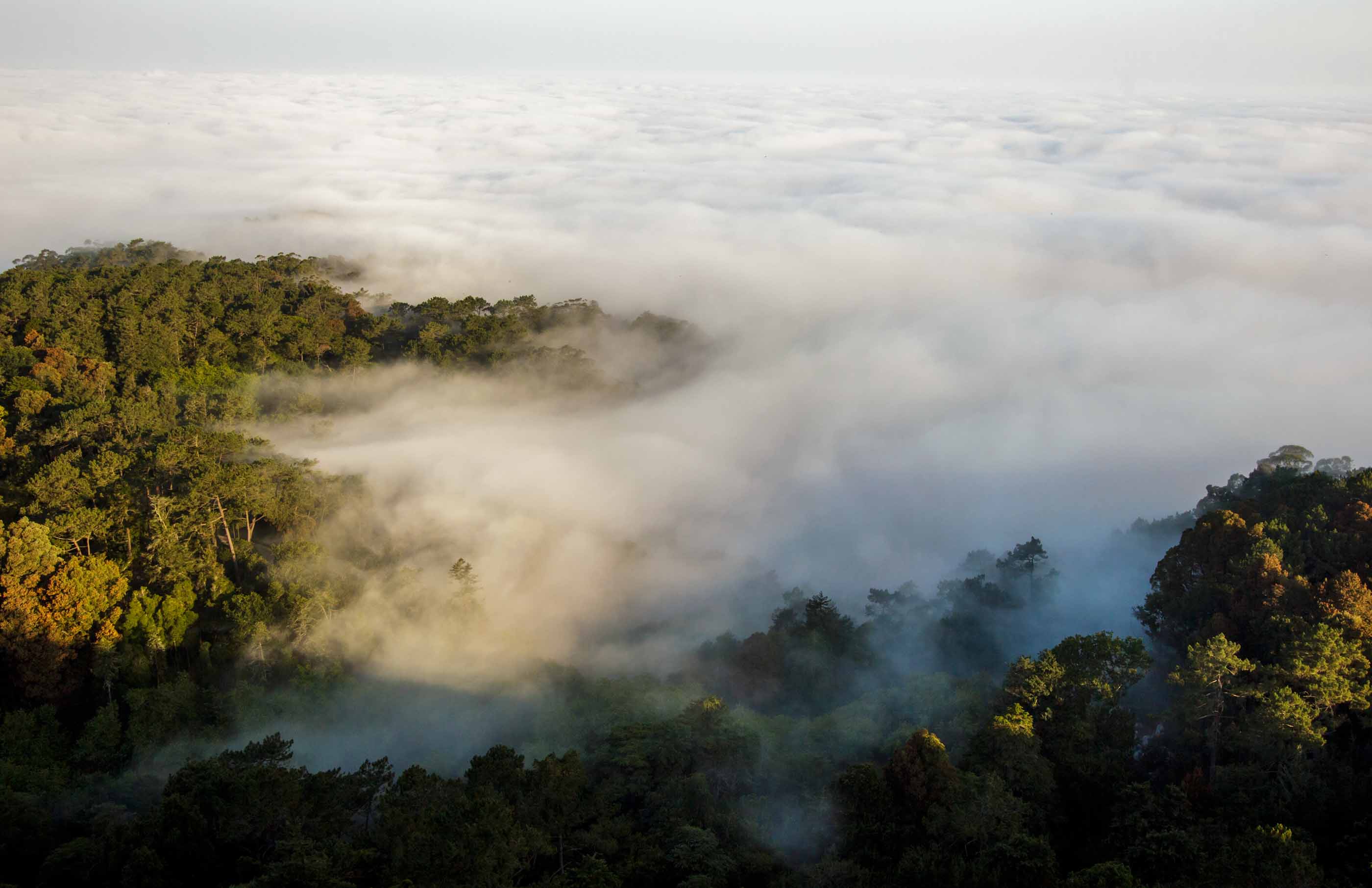 Emigus JAN OUT 2012 97