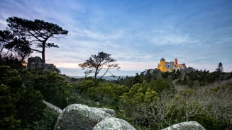 Parque E Palacio Nacional Da Pena Creditos PSML Luis Duarte (1) Rd