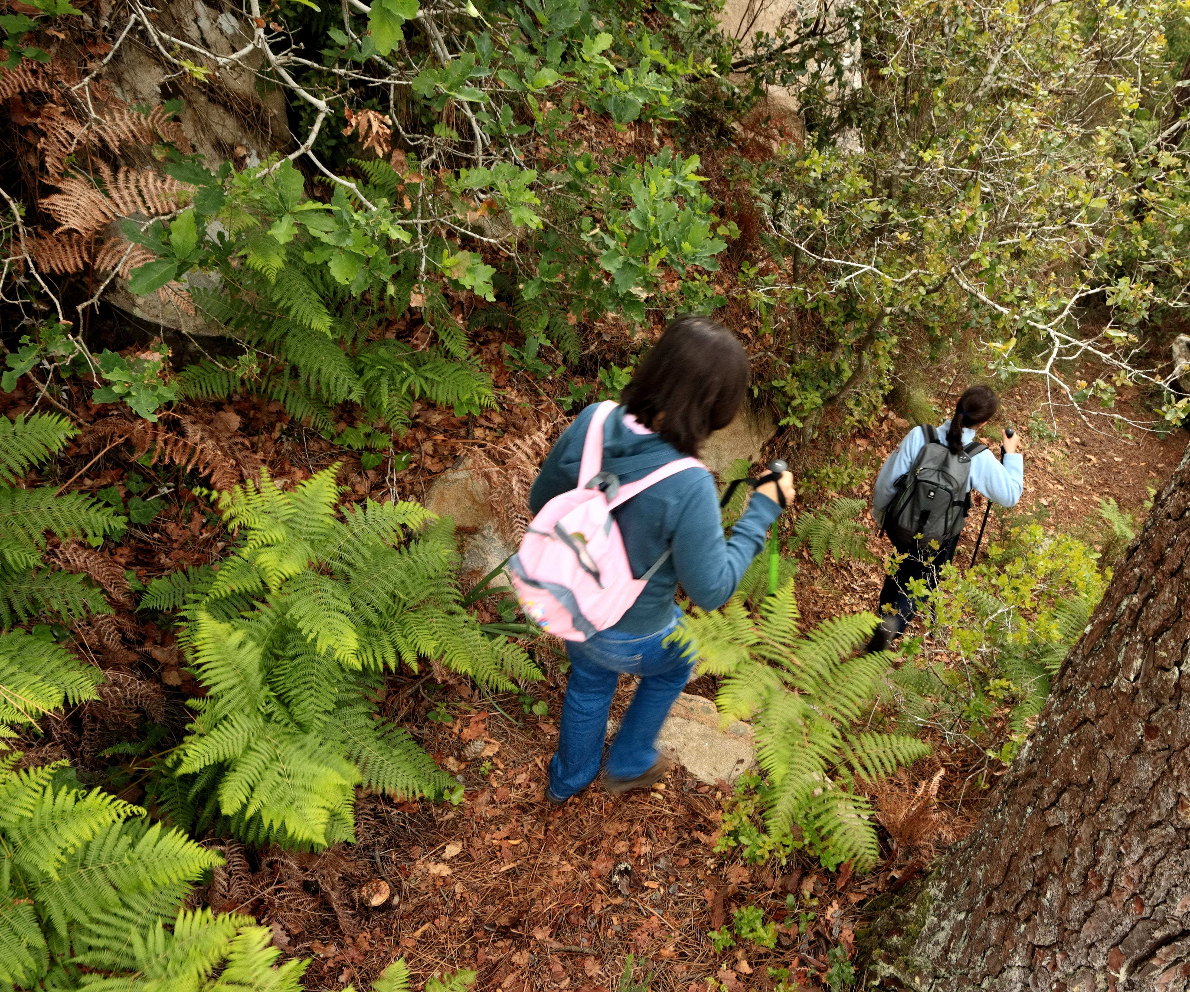 Percurso 3Cruzes EMIGUS 044 Bx Final