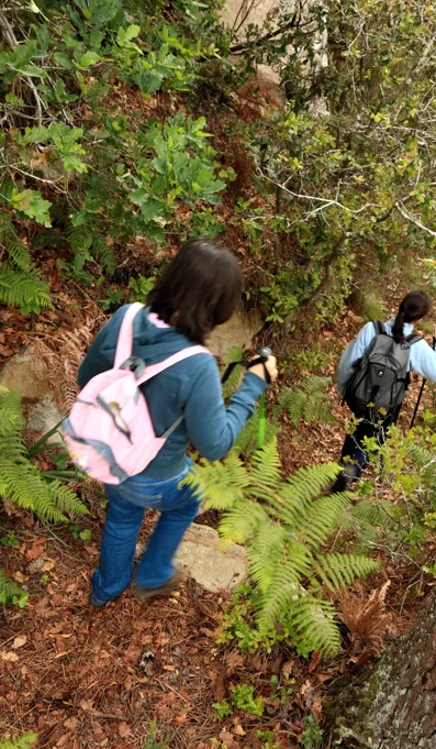 Percurso 3Cruzes EMIGUS 044 Bx Final