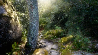 Capuchos Mata Reliquia Creditos PSML EMIGUS Bx