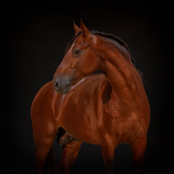 APP578 Jeremias RF 6204