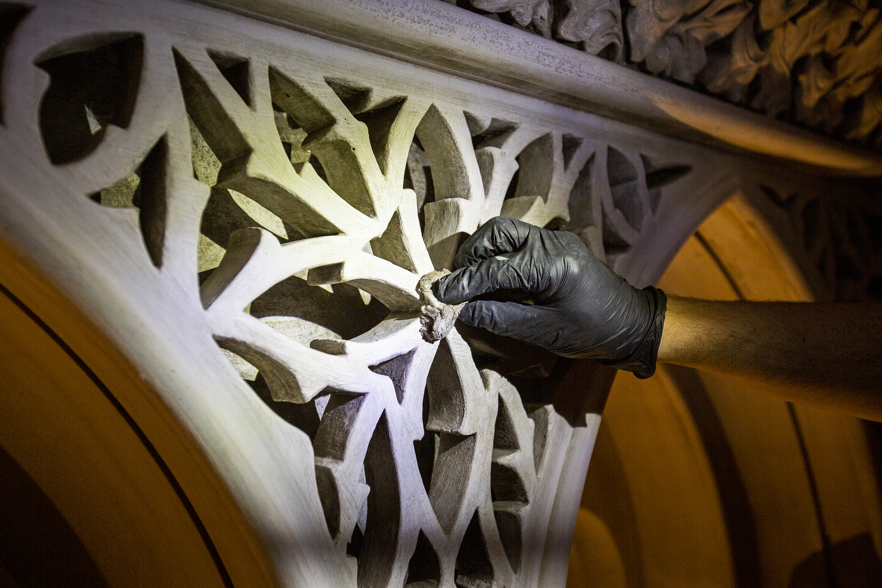 Interv Cupula Central Mons Ext PSML Jose Marques Silva