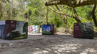 Expo PCS Pqpena Creditos PSML Josemarquessilva Int