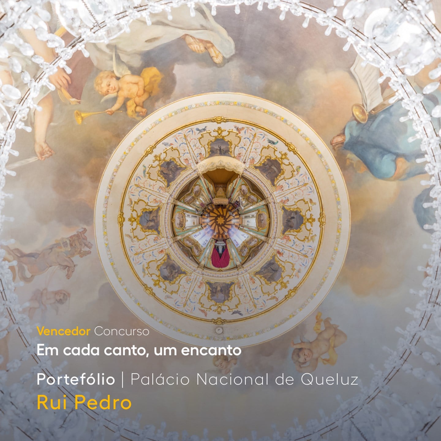 Vencedor Portefolio03