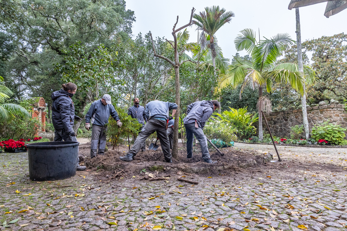 E7A0760©PSML Jose Marques Silva Bx