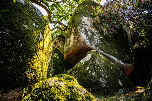 Parques De Sintra Chalet E Jardim Da Condessa Dedla Pedras Chalet
