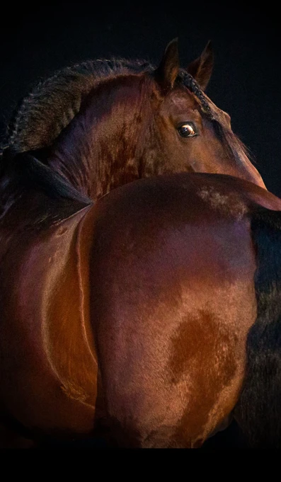 APP1116 Baritono SF 9837