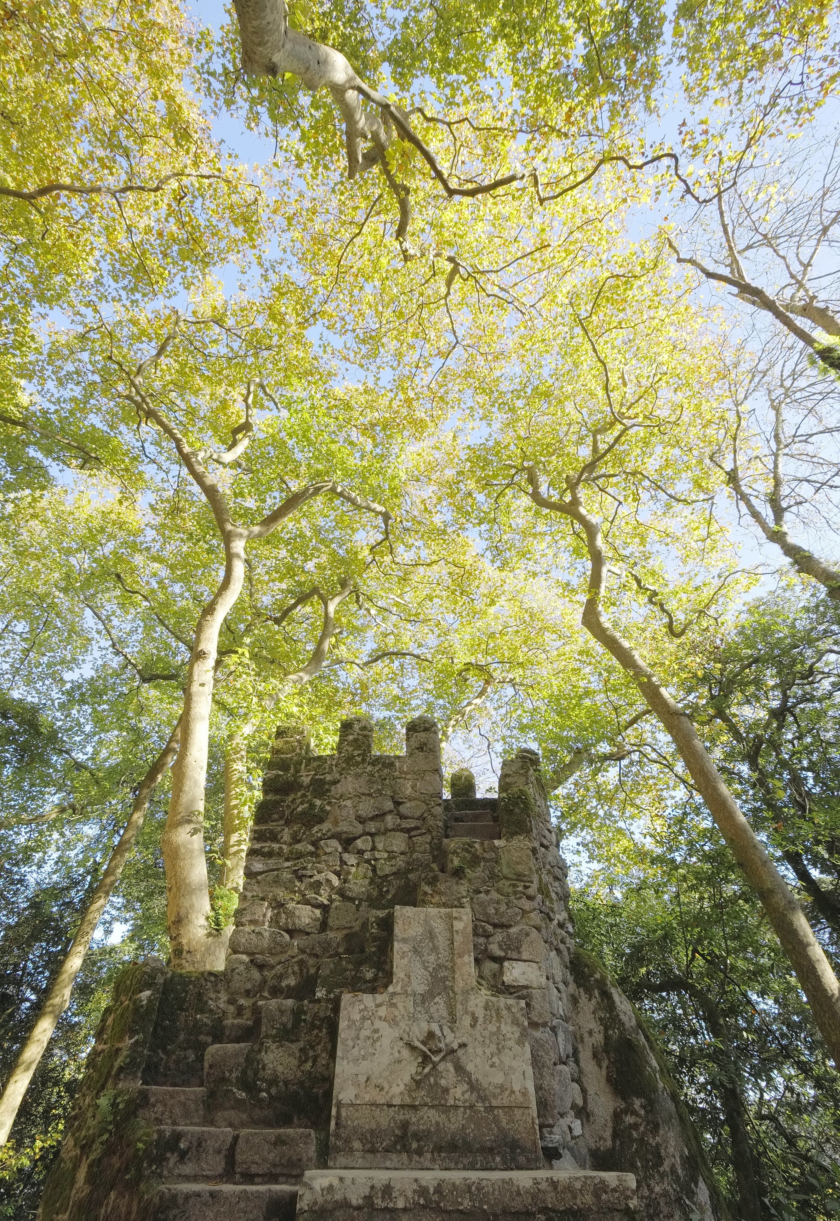 Parques De Sintra Castelo Dos Mouros Tumulo