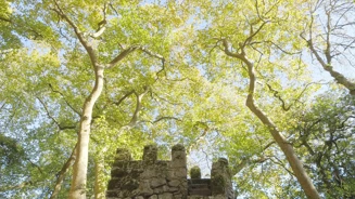 Parques De Sintra Castelo Dos Mouros Tumulo